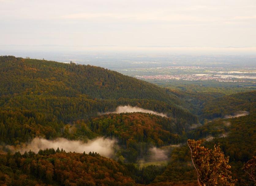Außenansicht Foto
