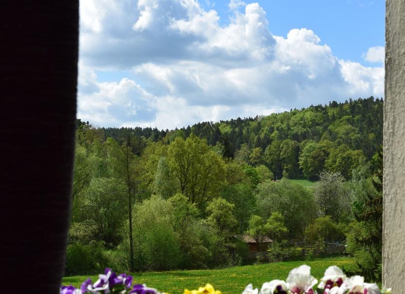 Außenansicht Foto