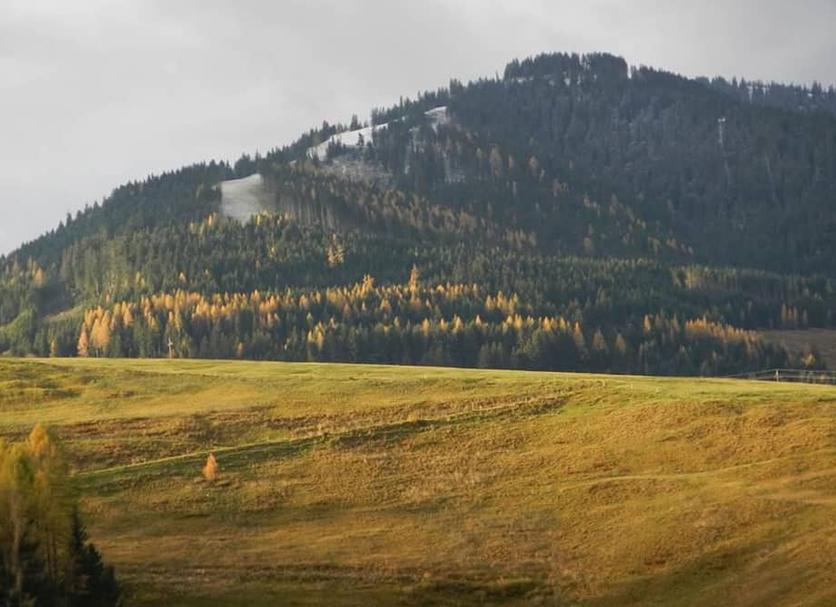 Außenansicht Foto