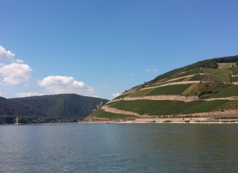 Sonstige Foto