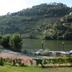 Sonstige