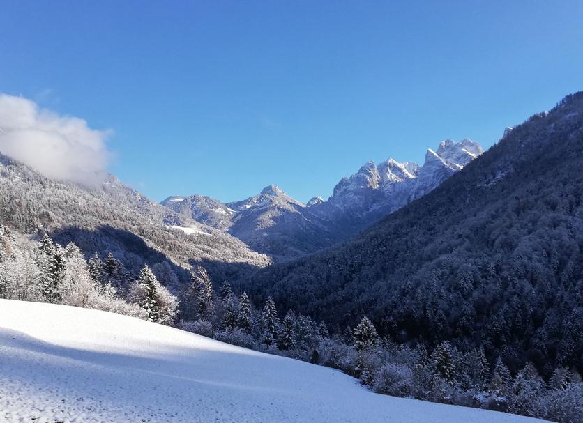 Außenansicht Foto