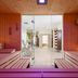 Wellness
