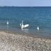 Sonstige