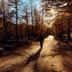 Sonstige