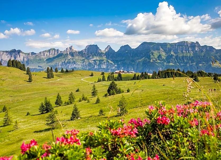 Außenansicht Foto