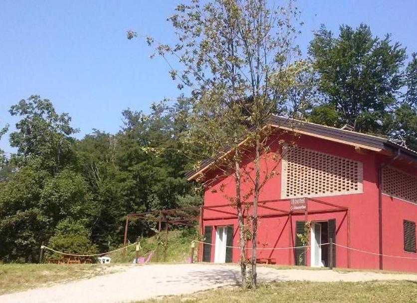 Sonstige Foto