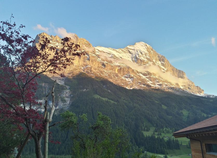 Außenansicht Foto