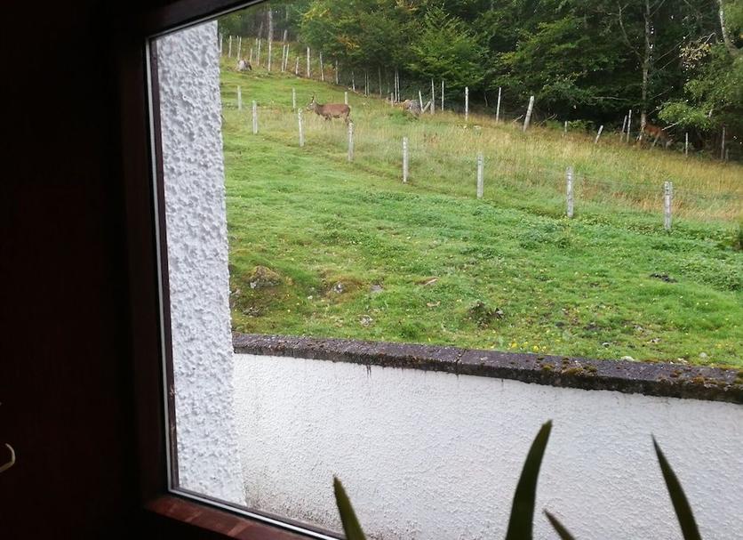 Außenansicht Foto