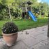 Sonstige