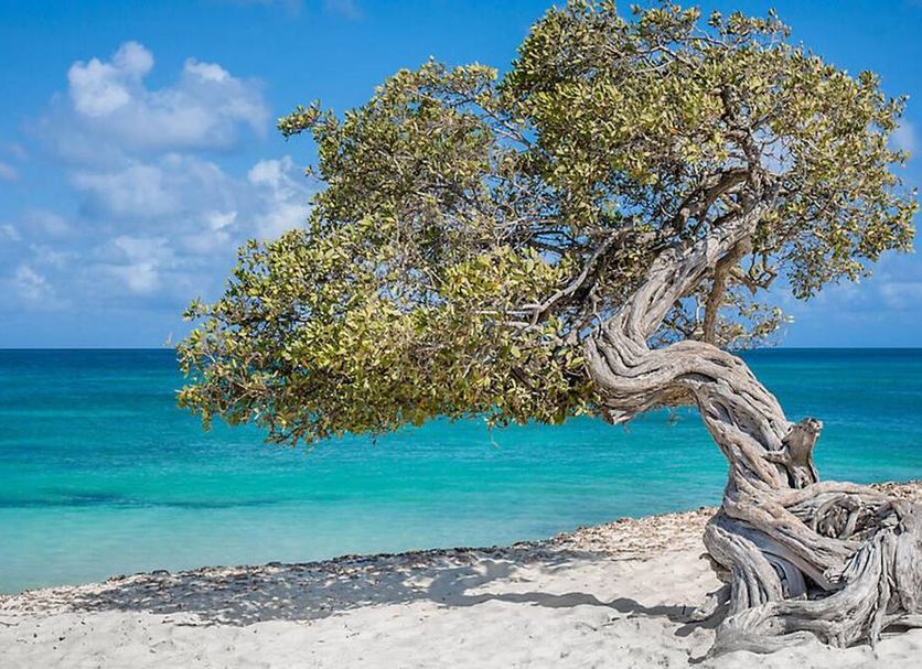 Strand Foto