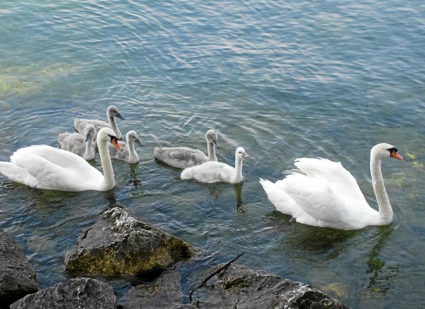Sonstige Foto