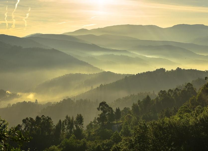 Außenansicht Foto