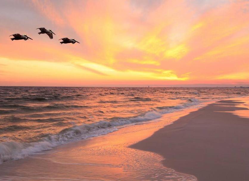 Strand Foto