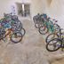 Sonstige