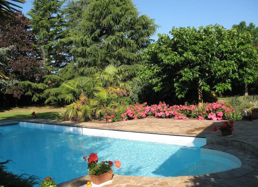 Pool Foto