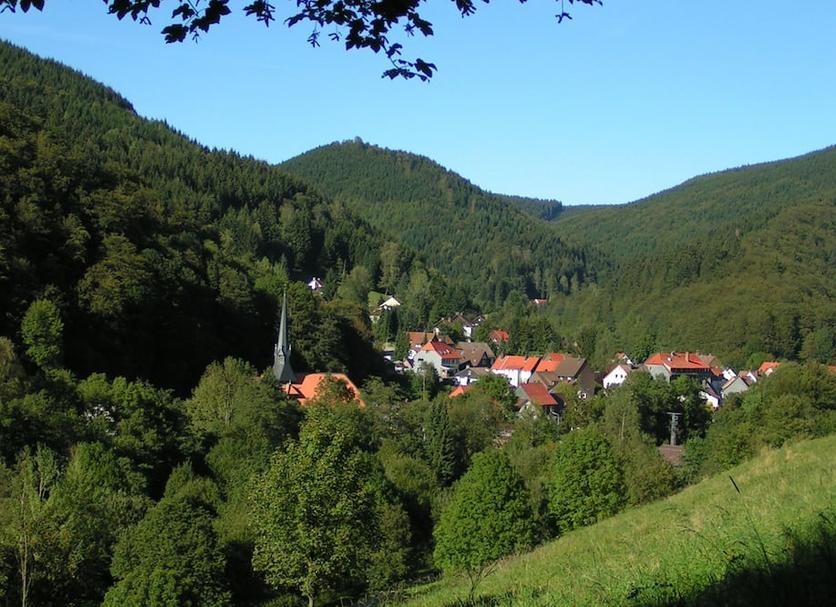 Sonstige Foto