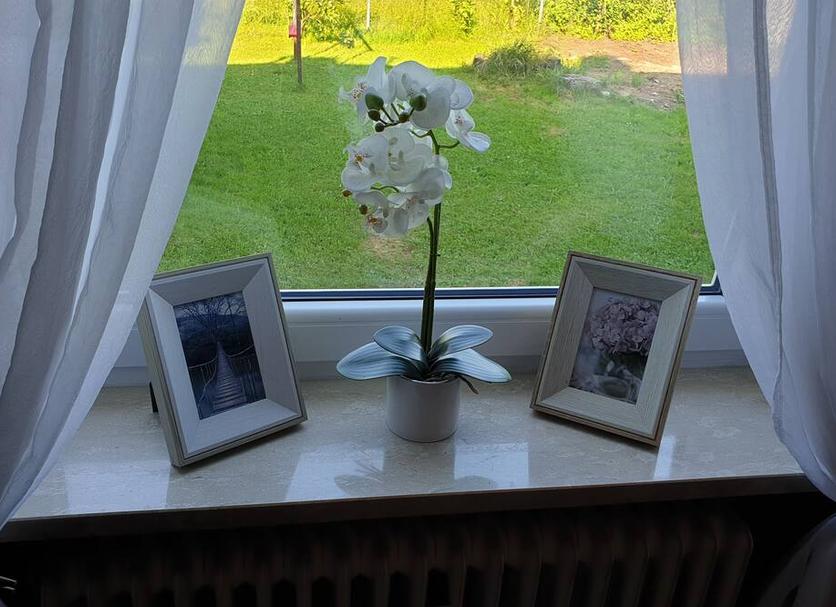 Zimmerausstattung Foto