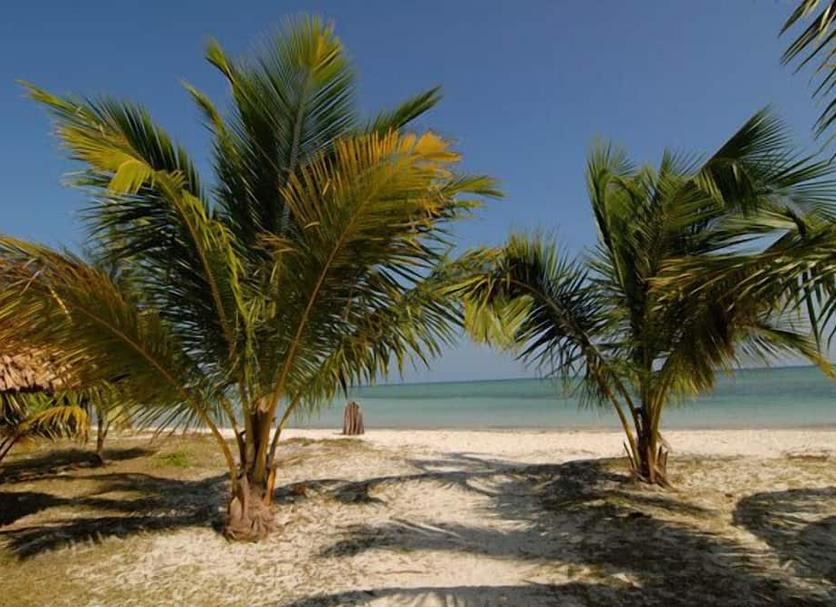 Strand Foto