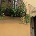 Sonstige