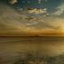 Sonstige