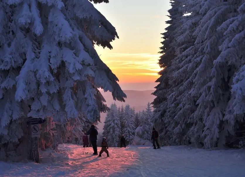 Sonstige Foto