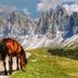Sonstige