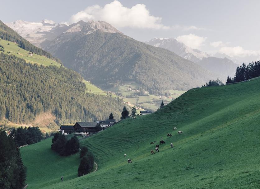 Sonstige Foto