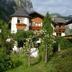 Sonstige