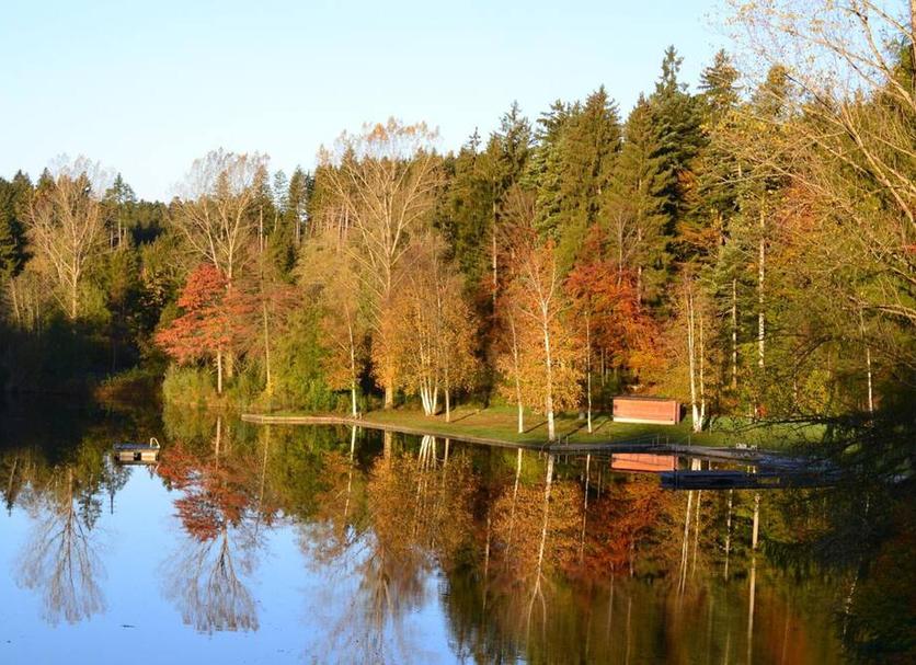 Sonstige Foto