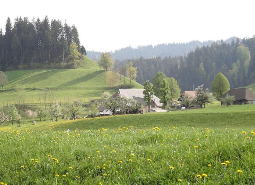 Außenansicht Foto
