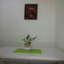 Sonstige