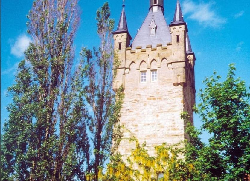 Sonstige Foto