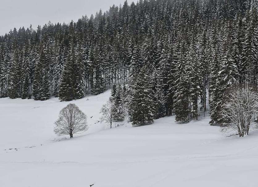 Außenansicht Foto