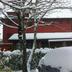 Sonstige