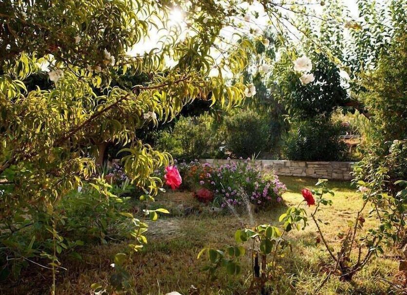 Außenansicht Foto