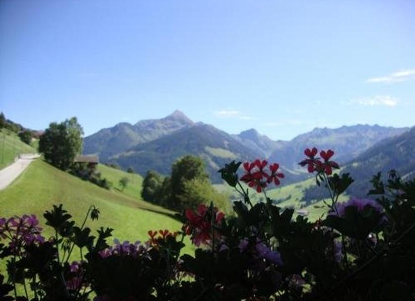 Außenansicht Foto