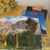 Sonstige