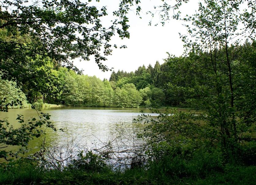 Außenansicht Foto
