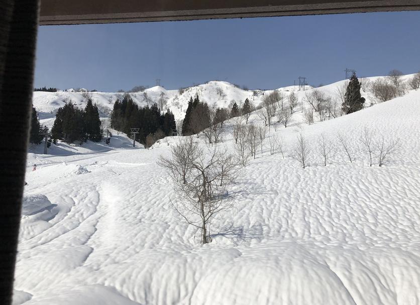 Sonstige Foto