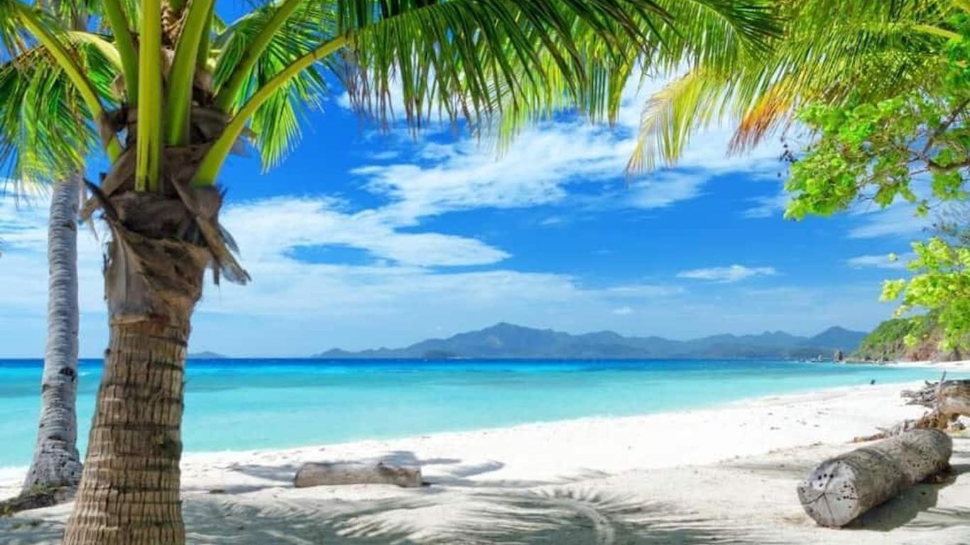 Island Cove