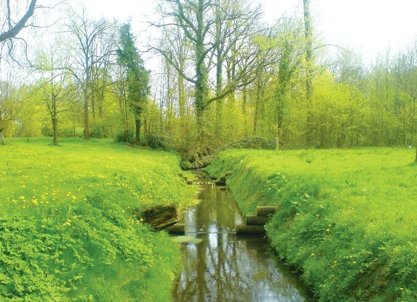 Außenansicht Foto