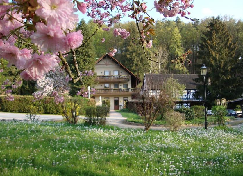 Sonstige Foto