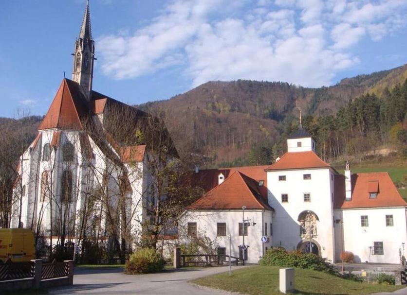Sonstige Foto