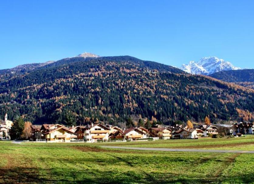 Sonstige Foto