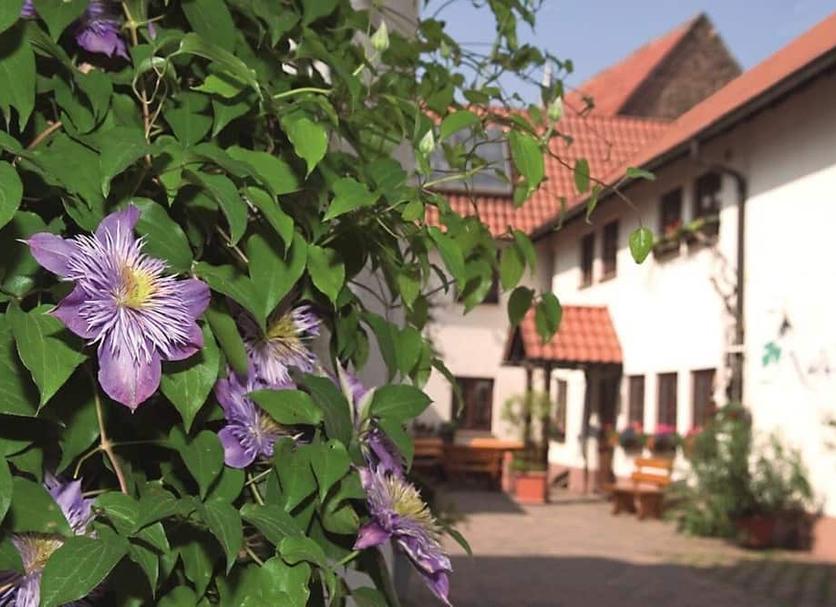 Außenansicht Foto