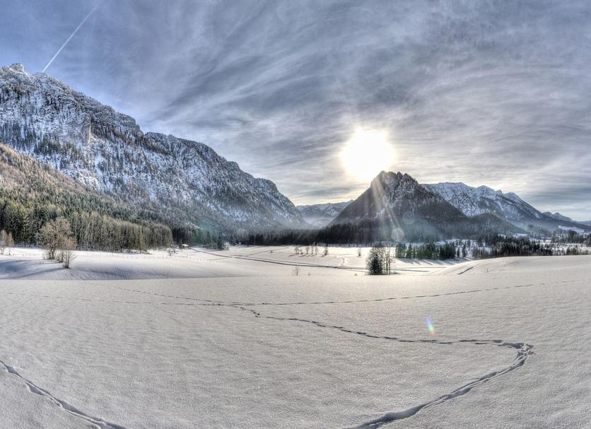 Sonstige Foto