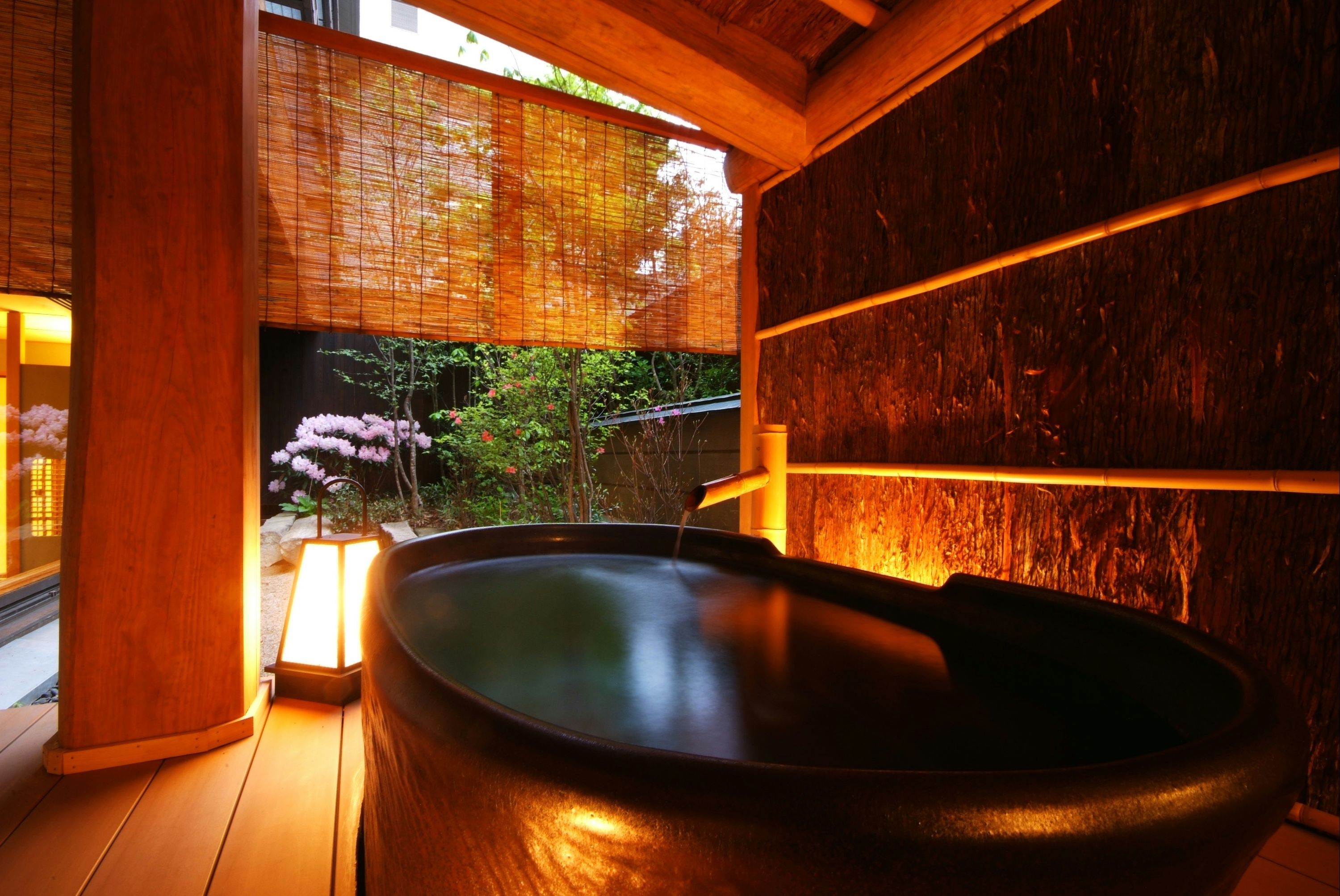 Wellness