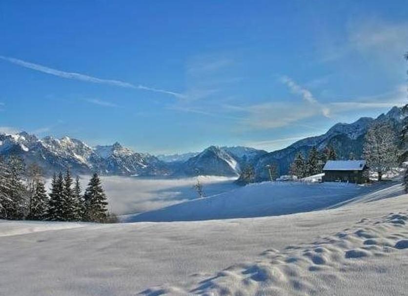 Sonstige Foto