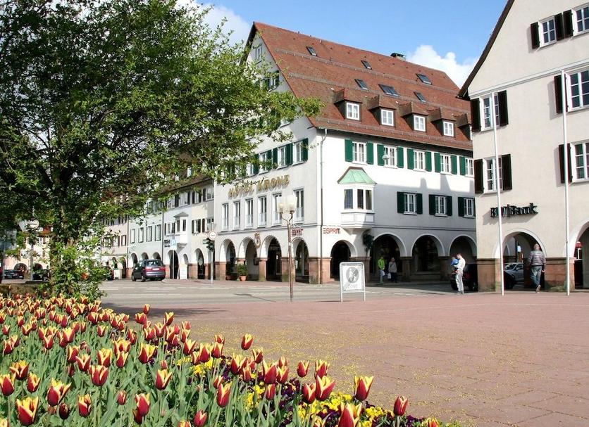 Sonstige Foto